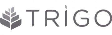 Consultoria ClickUp 11 Grupo Trigo